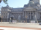 0240_2015-01-31_Buenos_Aires_hoe_P1010133