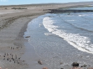 0500_2015-02-05_Puerto_Madryn_dhl_P1000690