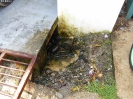 010_2015-03-17_Bocas_del_Toro_hoe_P1020877