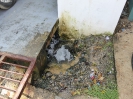 020_2015-03-17_Bocas_del_Toro_hoe_P1020878