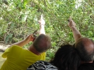 080_2015-03-18_Puerto_Limon_hoe_P1020957