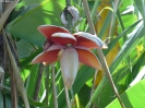 130_2015-03-18_Puerto_Limon_dhl_P1010260