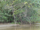 140_2015-03-18_Puerto_Limon_dhl_P1010273